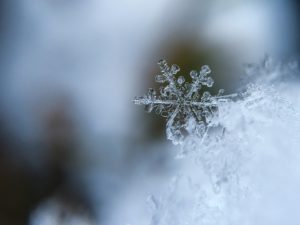 The Man Behind 5,000 Snowflakes