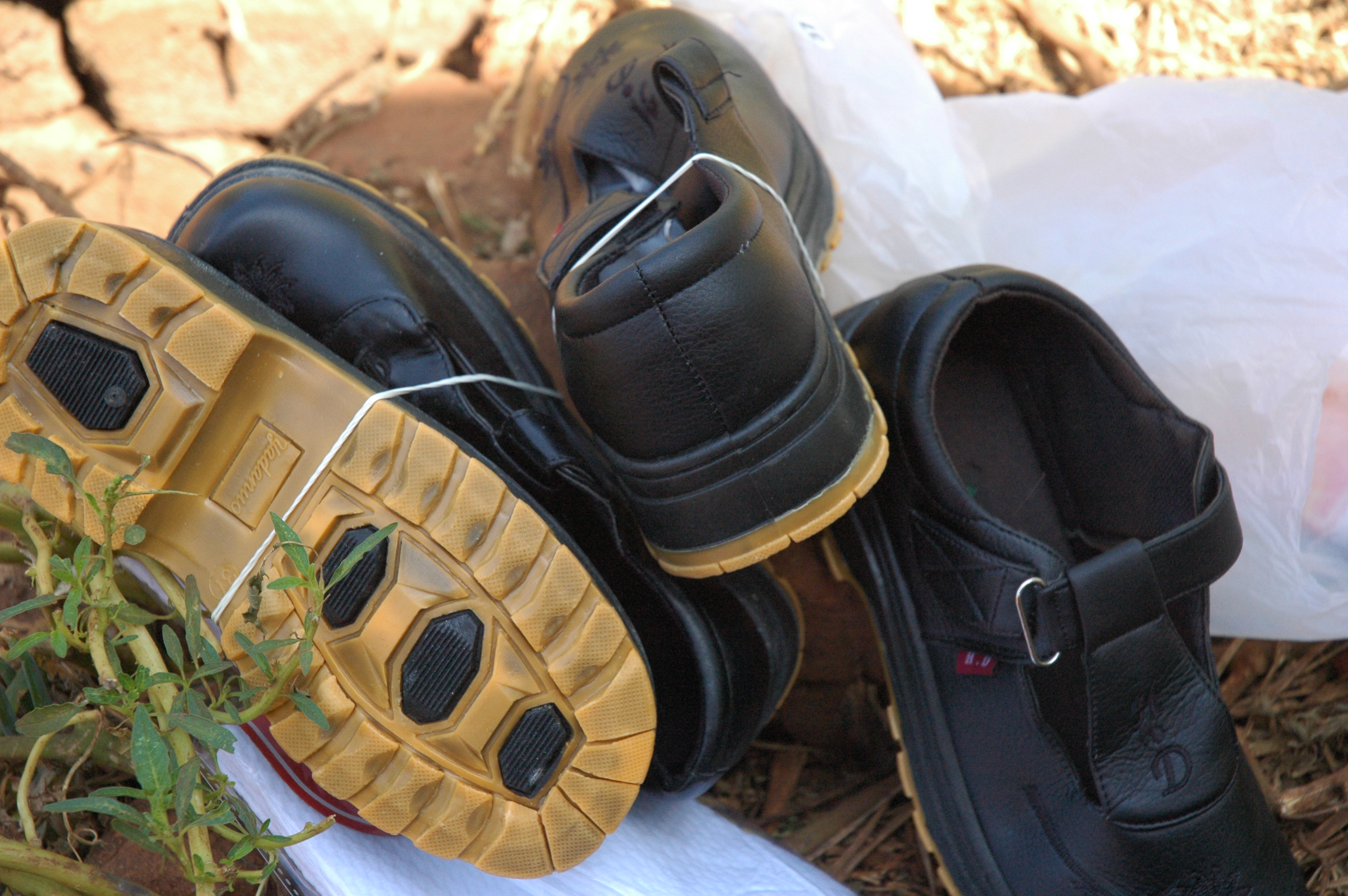 Uganda Shoe Trees | David & Kylie Knight