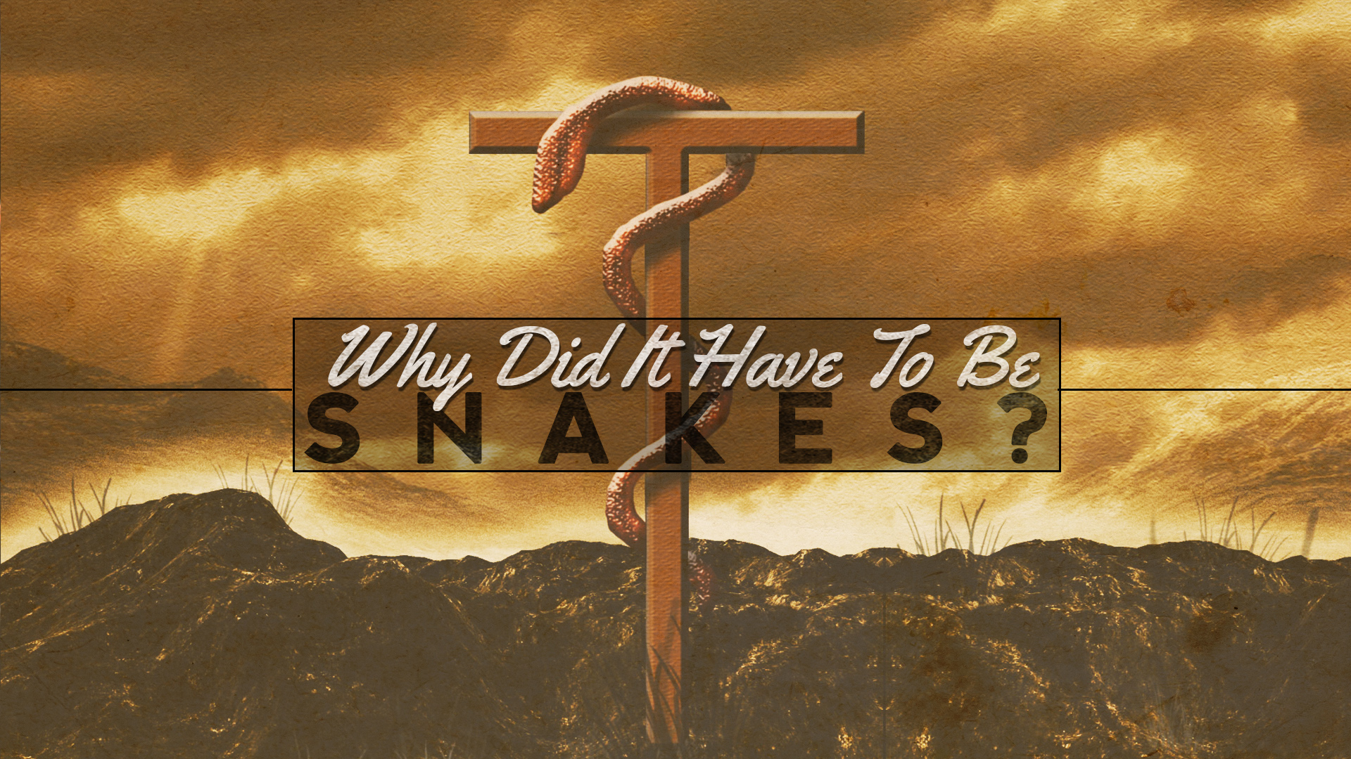 Why Did It Have To Be Snakes?